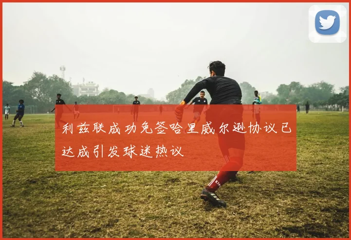 利兹联成功免签哈里威尔逊协议已达成引发球迷热议